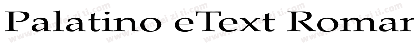 Palatino eText Roman字体转换